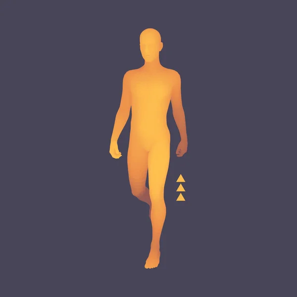 Homem Caminhante. Modelo de corpo humano 3D. Elemento de design. Vetor Illustr —  Vetores de Stock