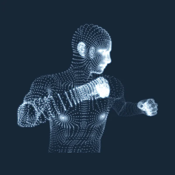 Combattente. Modello 3D dell'uomo. Modello del corpo umano. Scansione del corpo . — Vettoriale Stock