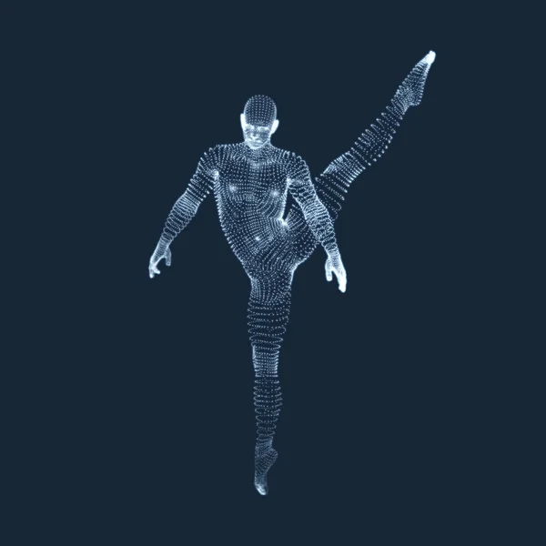 Jimnastikçi. Adam adam insan 3 boyutlu Model vücut modeli. İnsan B görünümünü — Stok Vektör