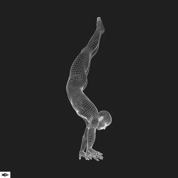 Gymnast. Man. 3d-modell av Man. mänskliga kropp modell. — Stock vektor