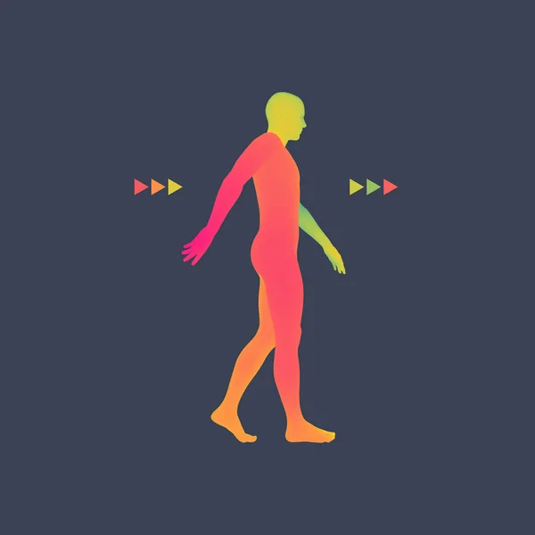 Caminante. Modelo de cuerpo humano 3D. Elemento de diseño . — Vector de stock