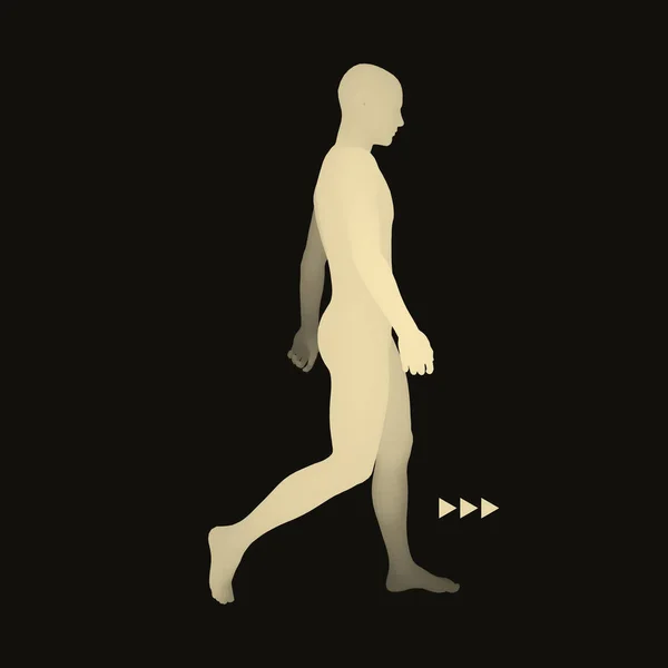 Homem Caminhante. Modelo de corpo humano 3D. Elemento de projeto . —  Vetores de Stock