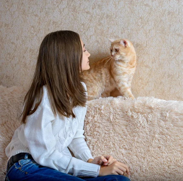 Menina e gato vermelho — Fotografia de Stock