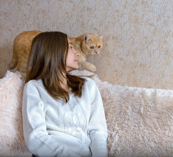 Lány és a vörös macska — Stock Fotó