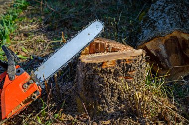 Kırmızı Chainsaw