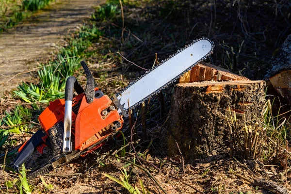 The red Chainsaw — Stock Photo, Image