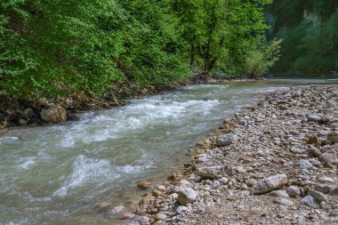 Dağ Nehri