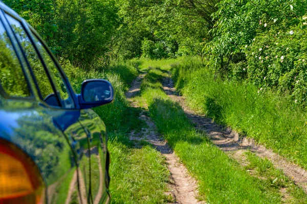 Coche azul en bosque —  Fotos de Stock