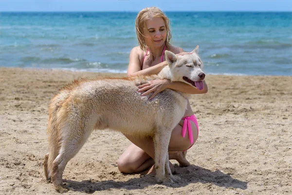 Husky y rubia — Foto de Stock