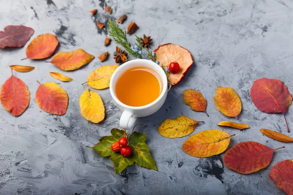 Herfst samenstelling kopje thee. Herfstbladeren op donkere achtergrond — Stockfoto