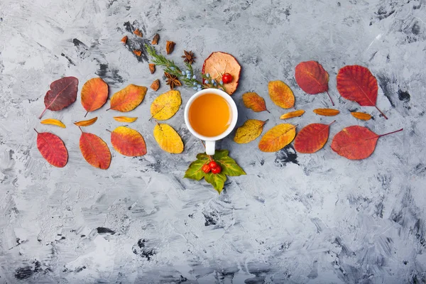 Herbst Komposition Tasse Tee. Herbstblätter auf dunklem Hintergrund — Stockfoto