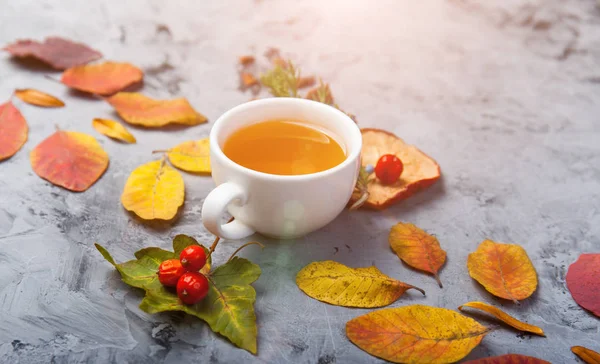 Podzimní kompozici šálek čaje. podzimní listí na tmavém pozadí — Stock fotografie