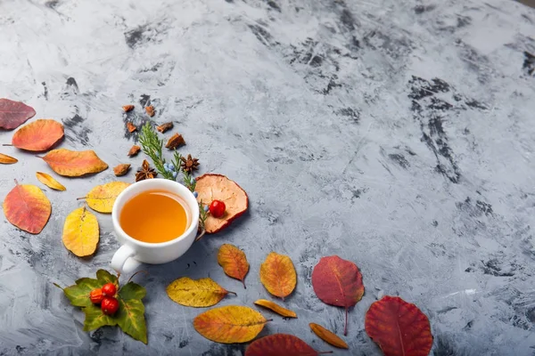 Herbst Komposition Tasse Tee. Herbstblätter auf dunklem Hintergrund — Stockfoto