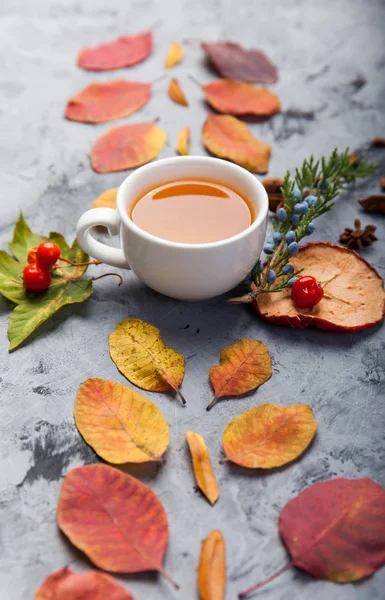 Jesienna kompozycja filiżankę herbaty. Autumn listowie na ciemnym tle — Zdjęcie stockowe