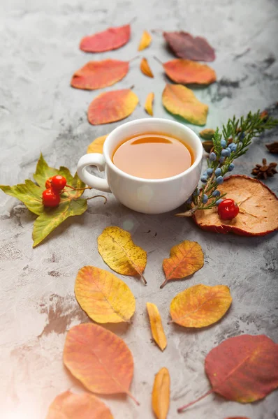 Φθινοπωρινή σύνθεση φλιτζάνι τσάι. το φθινόπωρο τα φύλλα σε σκούρο φόντο — Φωτογραφία Αρχείου