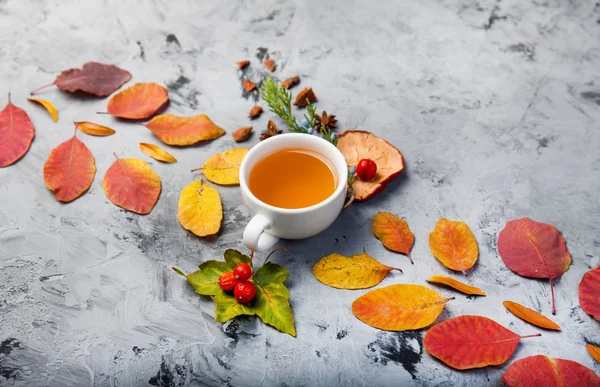 Podzimní kompozici šálek čaje. podzimní listí na tmavém pozadí — Stock fotografie
