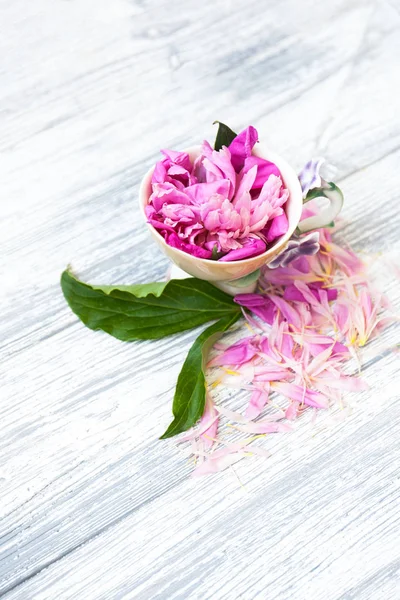 Kreatives Layout Aus Teetasse Mit Rosa Blüten Auf Rustikalem Hintergrund — Stockfoto