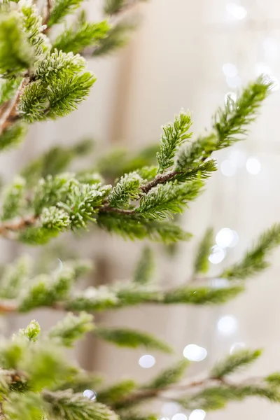 Luces navideñas en un árbol, rama de árboles de christmas. — Foto de Stock