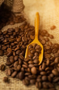 Kapatın kahve çekirdeklerini çuval bezinden döküyor ve desenli harita yüzeyine bir kepçe dökülüyor