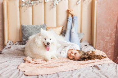 Gülümseyen sevimli küçük kız evde, yatak odasında, yatakta büyük, tüylü Samoyed köpeğine sarılıyor.