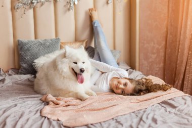 Gülümseyen sevimli küçük kız evde, yatak odasında, yatakta büyük, tüylü Samoyed köpeğine sarılıyor.
