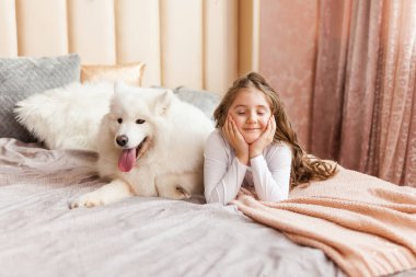 Gülümseyen sevimli küçük kız evde, yatak odasında, yatakta büyük, tüylü Samoyed köpeğine sarılıyor.