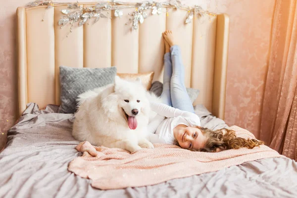 在家里 在床上的卧室里 抱着一只白色毛茸茸的萨摩亚大狗 笑着顽皮可爱的小女孩 — 图库照片