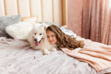 Gülümseyen sevimli küçük kız evde, yatak odasında, yatakta büyük, tüylü Samoyed köpeğine sarılıyor.