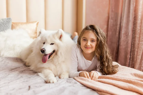 Sonriente Juguetona Linda Niña Abrazando Gran Blanco Esponjoso Perro Samoyed — Foto de Stock