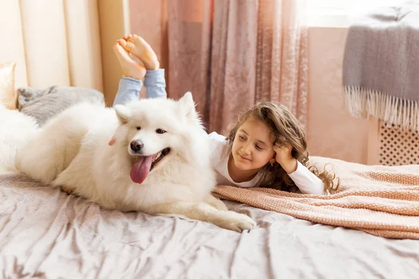 Sorrindo Brincalhão Bonito Menina Abraçando Grande Branco Fofo Samoyed Cão — Fotografia de Stock