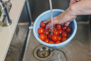 Tarifler ve resimlerde ev yemeği - adım adım bruschetta pişir- İtalyan Huysuz aperatifi - baget, domates, peynir, roka, ıspanak, nar, bıldırcın yumurtası, zeytinyağı, ceviz, avokado