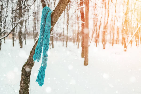 Azulejo Azul Lenço Malha Uma Árvore Uma Floresta Inverno Nevado — Fotografia de Stock