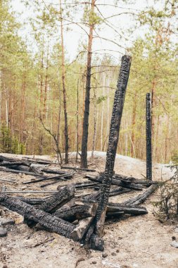 Yangından sonra kül tablası - ahşap bir binanın kömürleşmiş kütükleri - yangın güvenlik ekipmanlarının ve kurallarının ihlali