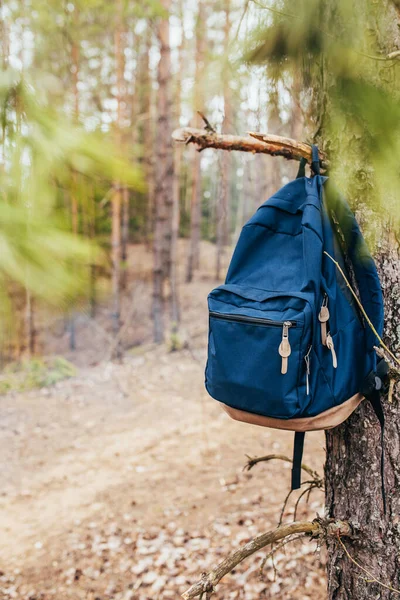 Mochila Turística Una Rama Árbol Bosque Viaje Camping —  Fotos de Stock