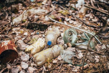 Ormandaki çöp - ekoloji - eski kirli plastik şişeler ve kırık camlar