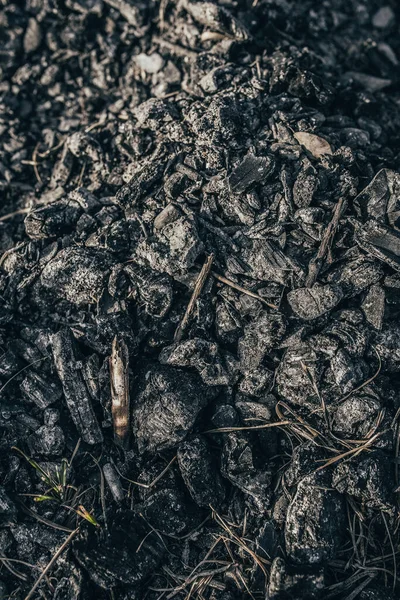 Fekete Szén Erdőtűz Után Vigyázzon Erdőre Gondatlan Tűzkezelés Gondatlanság — Stock Fotó