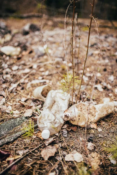 游客把垃圾留在森林里 塑料瓶 完全分解塑料的时间 — 图库照片