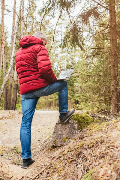 Man Works Remotely Mobile Internet While Standing Forest Laptop Technology — Stock Photo, Image