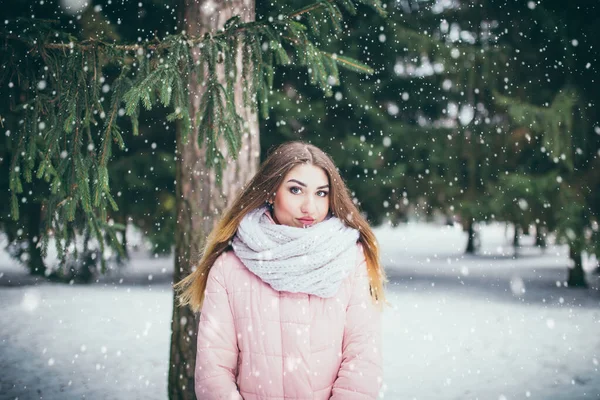 Joven Atractiva Mujer Cabello Castaño Una Chaqueta Abrigo Bosque Nevado — Foto de Stock