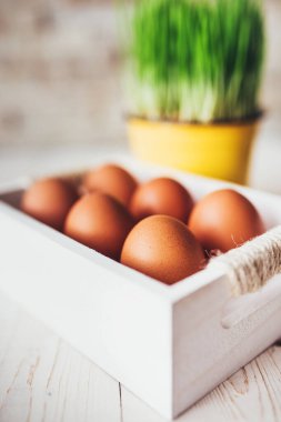 Kırsal dekoratif yumurta kutusu - Paskalya konsepti