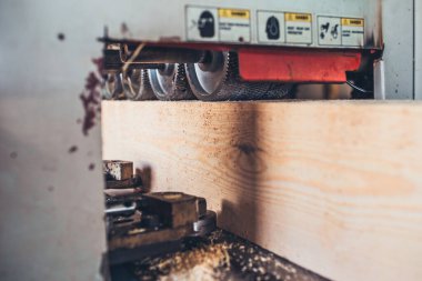 Bir endüstriyel makinede kereste profil çıkarma - kereste fabrikası - yapıştırılmış kereste üretimi