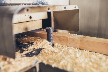 Ahşap fabrikası - keresteden inşaat malzemeleri üretimi