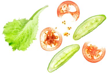 Hafif bir yaz salatası için malzemeler - marul, domates ve salatalık - beyaz arka planda izole edilmiş