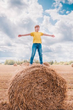 İngiliz kızıl saçlı, neşeli çocuk bir tarlada yığının üzerinde duruyor.