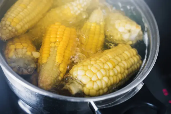 Large Ears Sweet Corn Boil Pan — Stock Photo, Image