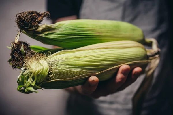 Farmers Have Some Fresh Corn Hands Right Field — Stock Photo, Image