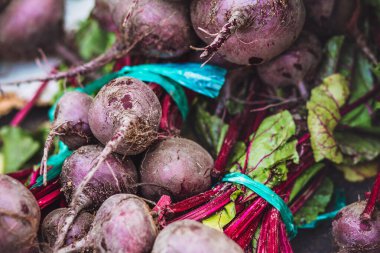 Taze pancar hasadı - kırsal meyve pazarı