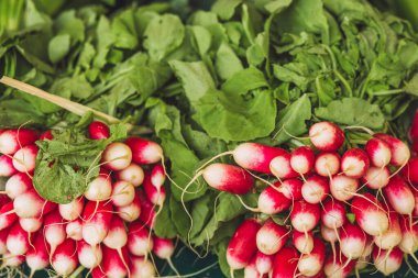 Taze turpların yakın çekimi - meyve kırsal pazarı