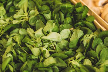 Taze Ispanak Yaprakları - Meyve Kırsal Pazarı