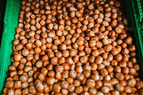 Bir kutu kabuklu fındığa odaklan. Lezzetli, sağlıklı fındık.